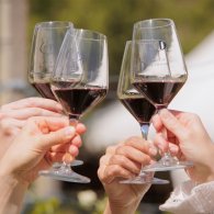 Aperitif im Wallis