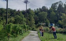 Kanal9 im Rebberg