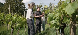 Visite guidée du domaine viticole