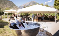Hochzeit bei der Weinkellerei