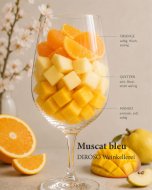Weinaromatik